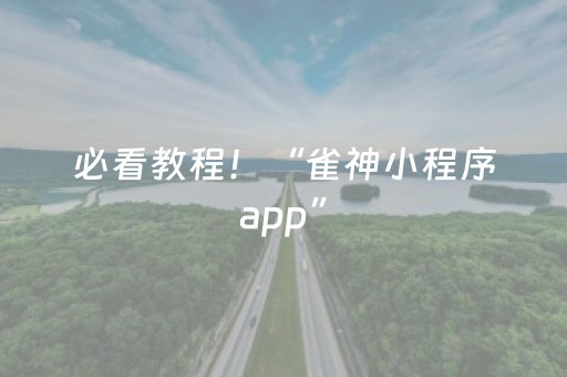 必看教程！“雀神小程序app”（详细透视教程）-哔哩哔哩