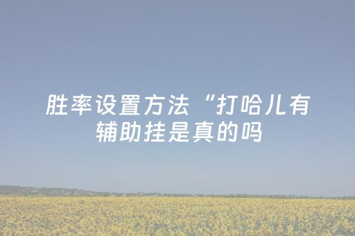 胜率设置方法“打哈儿有辅助挂是真的吗（专用辅牌神器免安装）