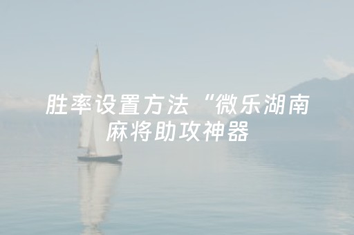 胜率设置方法“微乐湖南麻将助攻神器（专用辅牌神器免安装）
