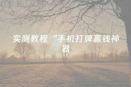 实测教程“手机打牌赢钱神器（助赢神器通用版）