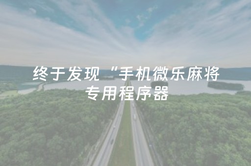 终于发现“手机微乐麻将专用程序器（专用辅牌神器免安装）