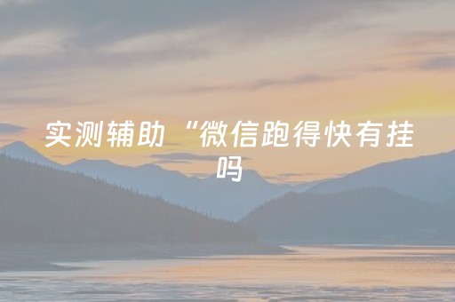 实测结果“微乐辽宁麻将辅牌器（专用辅牌神器免安装）