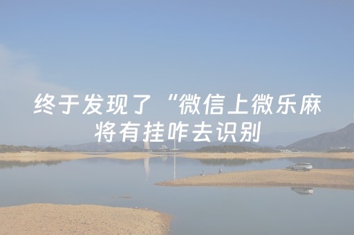 终于发现了“微信上微乐麻将有挂咋去识别（专用辅牌神器免安装）