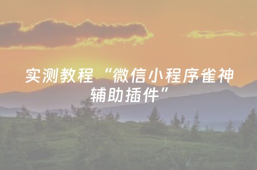 实测教程“微信小程序雀神辅助插件”（详细透视教程）-哔哩哔哩