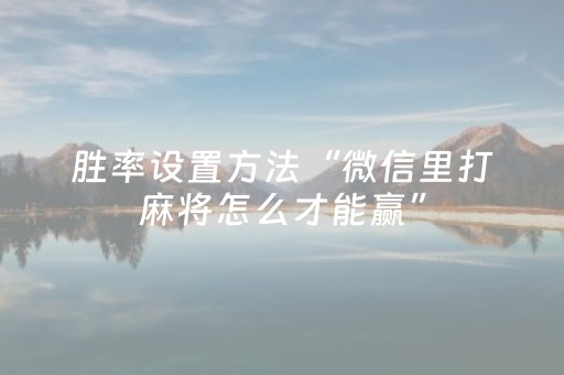 胜率设置方法“微信里打麻将怎么才能赢”（详细透视教程）-哔哩哔哩