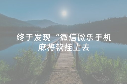 终于发现“微信微乐手机麻将软挂上去（专用辅牌神器免安装）