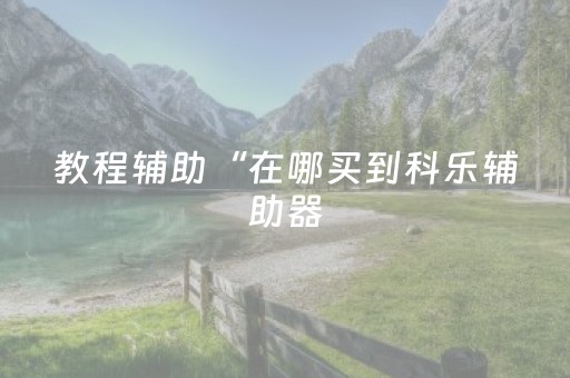 实测教程“微信金花小程序辅助器”（详细透视教程）-哔哩哔哩
