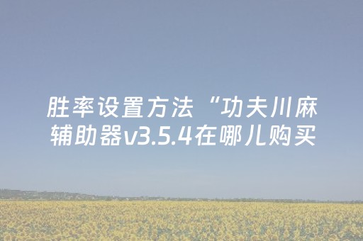 实测辅助“手机扫扑克神器”（详细透视教程）-哔哩哔哩