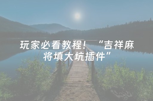 玩家必看教程！“吉祥麻将填大坑插件”（详细透视教程）-哔哩哔哩