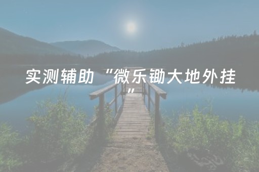 玩家必备教程“家乡大贰微信小程序辅助工具”（详细透视教程）-哔哩哔哩