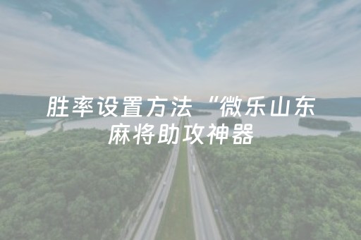玩家必看攻略“最新麻将机免安装解码器”（详细透视教程）-哔哩哔哩
