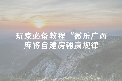 玩家必备教程“微乐广西麻将自建房输赢规律（专用辅牌神器免安装）