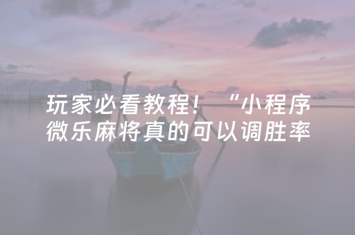 玩家必看教程！“小程序微乐麻将真的可以调胜率吗”（详细透视教程）-哔哩哔哩