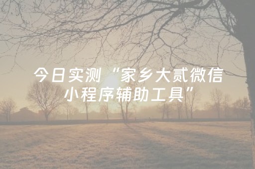 今日实测“家乡大贰微信小程序辅助工具”（详细辅助教程）-哔哩哔哩