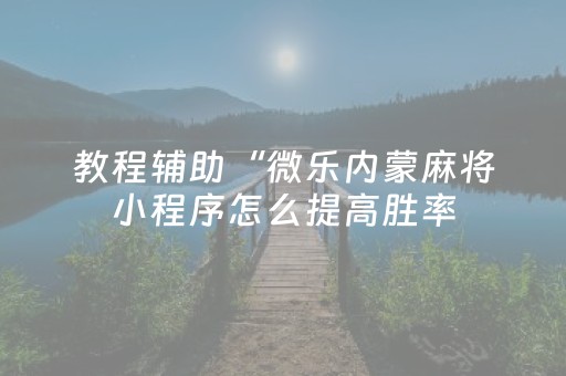 实测结果“中至辅助器免费版3.0（专用辅牌神器免安装）