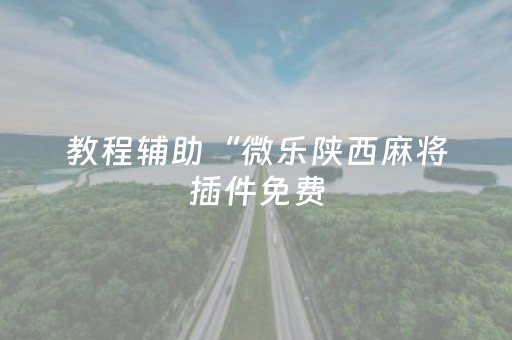 教程辅助“微乐陕西麻将插件免费（专用辅牌神器免安装）