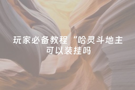 玩家必备教程“哈灵斗地主可以装挂吗（专用辅牌神器免安装）