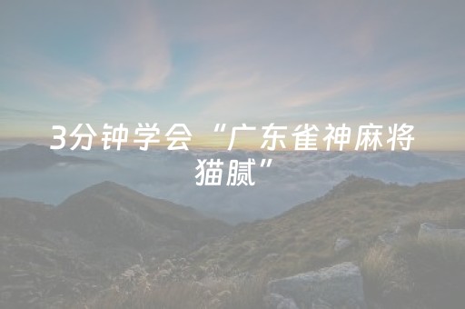 3分钟学会“广东雀神麻将猫腻”（详细透视教程）-哔哩哔哩