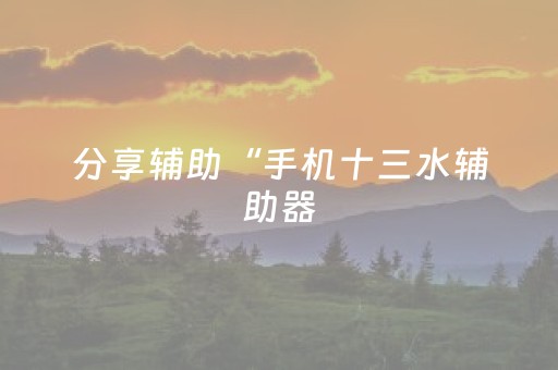 分享辅助“手机十三水辅助器（专用辅牌神器免安装）
