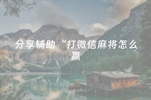 分享辅助“打微信麻将怎么赢（专用辅牌神器免安装）