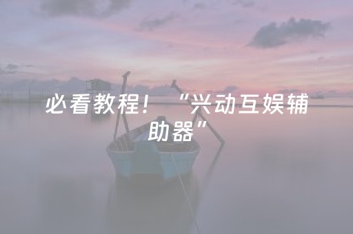 必看教程！“兴动互娱辅助器”（详细透视教程）-哔哩哔哩