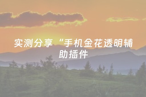 实测分享“手机金花透明辅助插件（专用辅牌神器免安装）