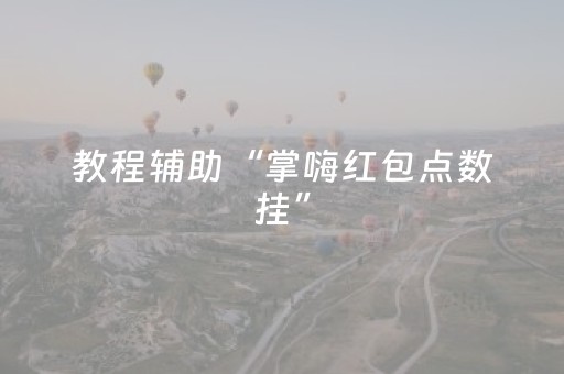 教程辅助“掌嗨红包点数挂”（详细透视教程）-哔哩哔哩