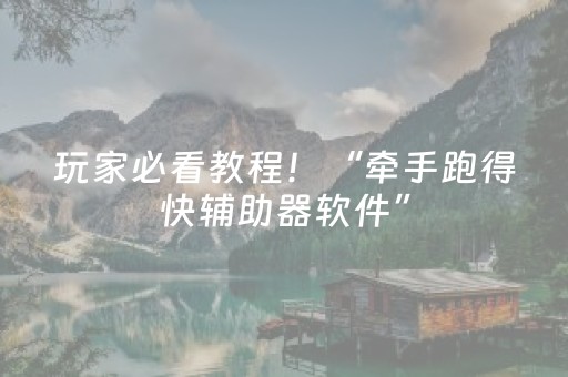 玩家必看教程！“牵手跑得快辅助器软件”（详细辅助教程）-哔哩哔哩