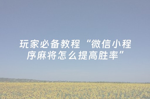 玩家必备教程“微信小程序麻将怎么提高胜率”（详细透视教程）-哔哩哔哩