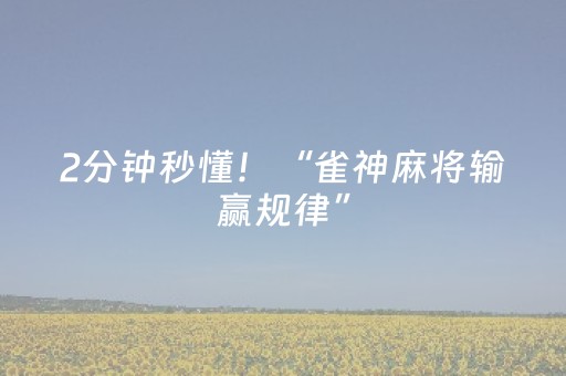 2分钟秒懂！“雀神麻将输赢规律”（详细透视教程）-哔哩哔哩