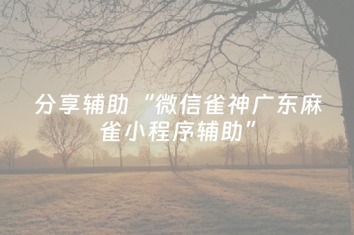 今日实测“功夫麻将专用神器”（详细辅助教程）-哔哩哔哩
