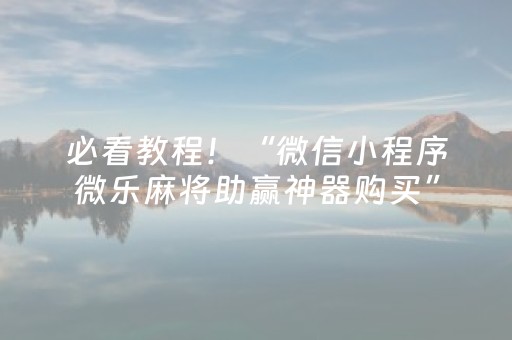 必看教程！“微信小程序微乐麻将助赢神器购买”（详细开挂教程）-哔哩哔哩