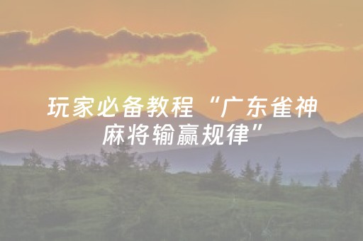 玩家必备教程“广东雀神麻将输赢规律”（详细透视教程）-哔哩哔哩