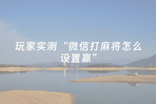 新版本“微信小程序广东雀神辅助器免费”（详细透视教程）-哔哩哔哩