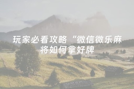 玩家必看攻略“微信微乐麻将如何拿好牌（助赢神器通用版）
