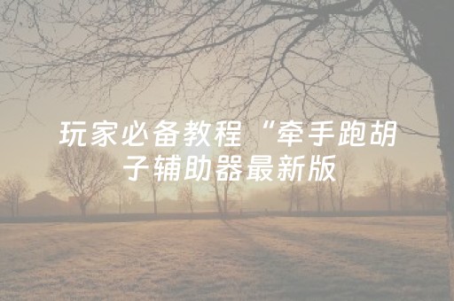 玩家必备教程“牵手跑胡子辅助器最新版（专用辅牌神器免安装）