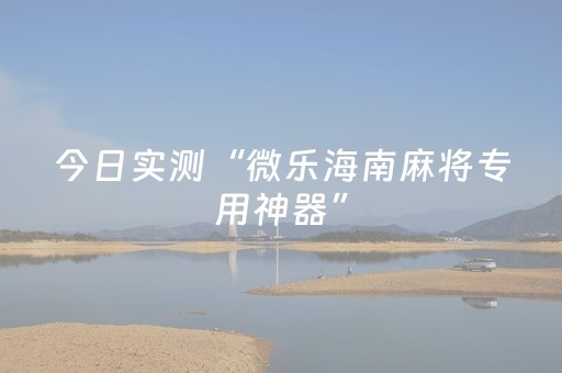 今日实测“微乐海南麻将专用神器”（详细透视教程）-哔哩哔哩