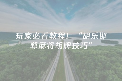 玩家必看教程！“胡乐邯郸麻将胡牌技巧”（详细开挂教程）-哔哩哔哩