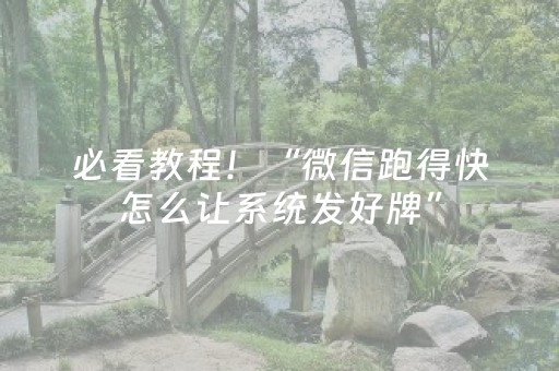 必看教程！“微信跑得快怎么让系统发好牌”（详细开挂教程）-哔哩哔哩