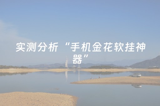实测分析“手机金花软挂神器”（详细透视教程）-哔哩哔哩