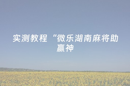 实测教程“微乐湖南麻将助赢神（助赢神器通用版）
