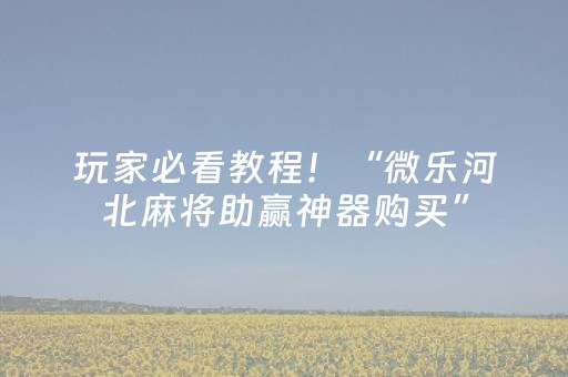 玩家必看教程！“微乐河北麻将助赢神器购买”（详细透视教程）-哔哩哔哩