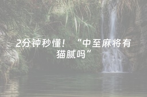 2分钟秒懂！“中至麻将有猫腻吗”（详细开挂教程）-哔哩哔哩
