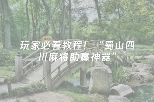 玩家必看教程！“蜀山四川麻将助赢神器”（详细透视教程）-哔哩哔哩