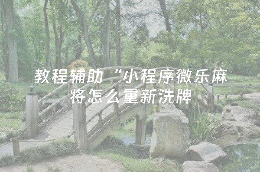 教程辅助“小程序微乐麻将怎么重新洗牌（助赢神器通用版）