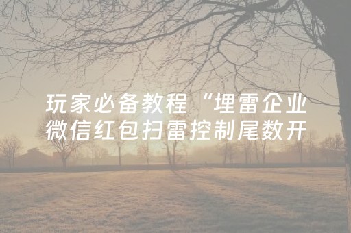 玩家必备教程“埋雷企业微信红包扫雷控制尾数开挂软件辅助器”（详细透视教程）-哔哩哔哩