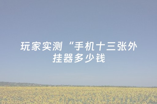 玩家实测“手机十三张外挂器多少钱（助赢神器通用版）