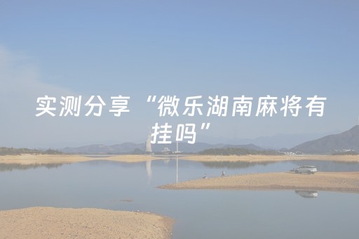 实测分享“微乐湖南麻将有挂吗”（详细辅助教程）-哔哩哔哩