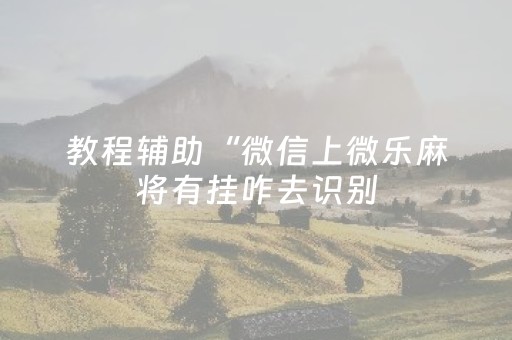 教程辅助“微信上微乐麻将有挂咋去识别（专用辅牌神器免安装）