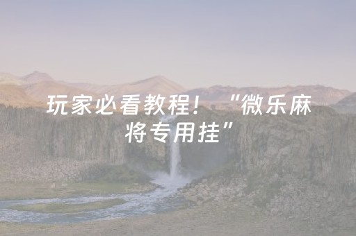 玩家必看教程！“微乐麻将专用挂”（详细开挂教程）-哔哩哔哩